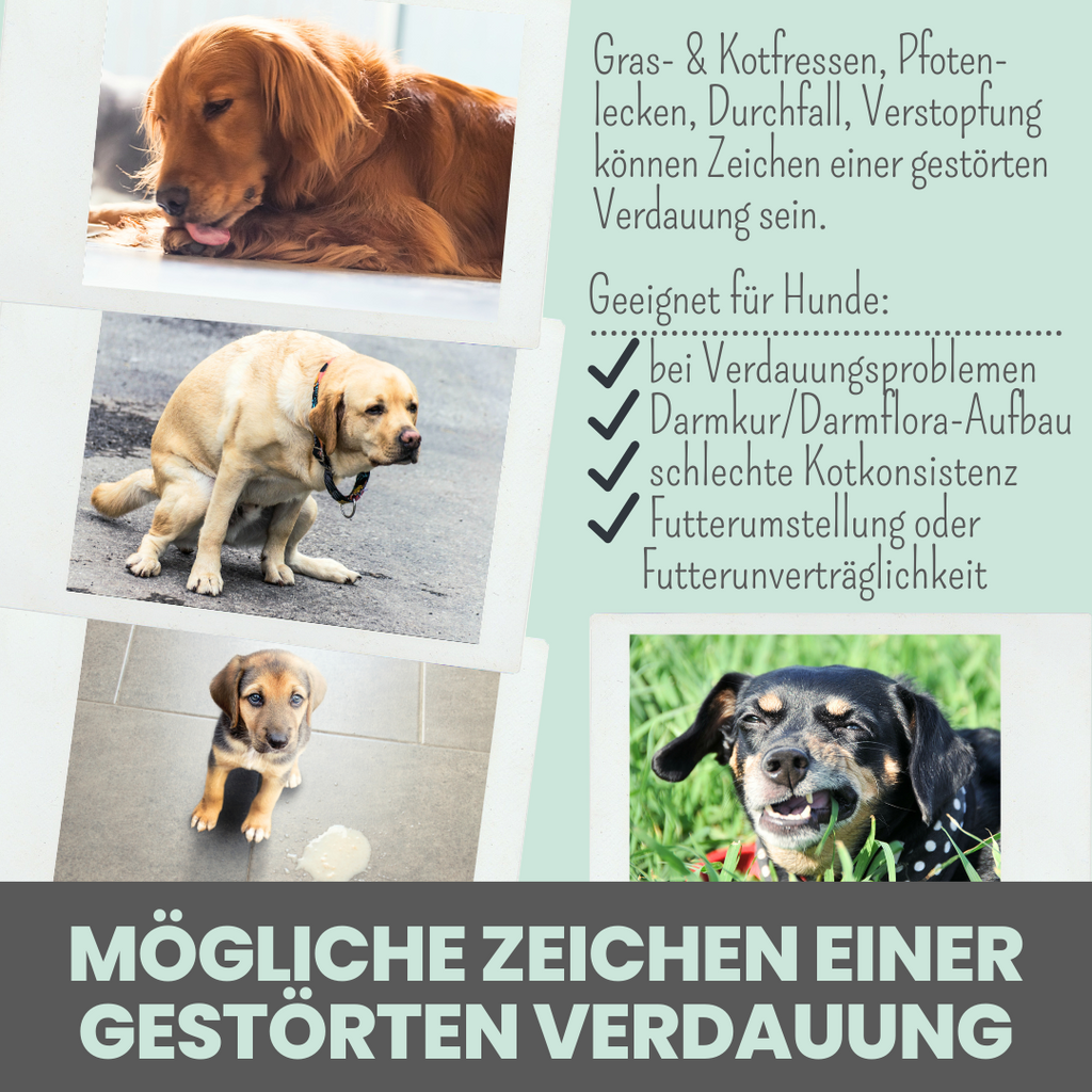 Verdauungsmix für Hunde als Probiotikum für Magen- & Darmflora (150g)