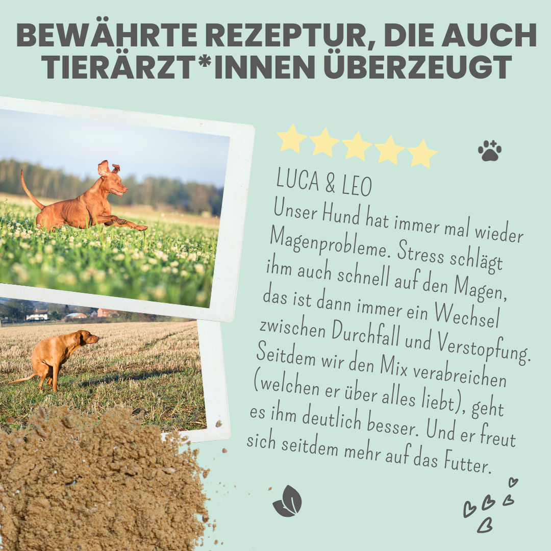 Verdauungsmix für Hunde als Probiotikum für Magen- & Darmflora (150g)